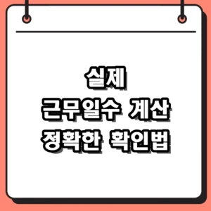 실제 근무일수 계산 주말 제외하고 정확한 재직기간 확인하는 방법