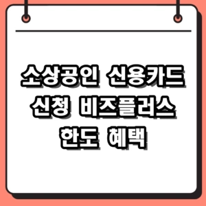 2026년 소상공인 신용카드 신청 방법 및 비즈플러스 혜택