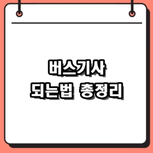 버스기사 되는법: 1종 대형면허 학원비부터 취업 과정 총정리