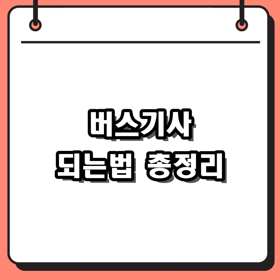 버스기사 되는법 총정리