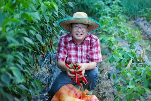 농식품바우처 홈페이지 화면 안내 이미지