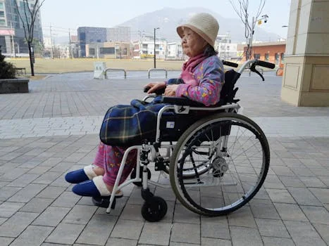 장애인 정책