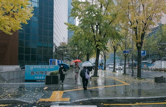 서울시 기후동행카드 안내 이미지