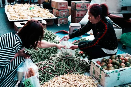 성남사랑상품권 참고 자료
