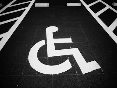 장애인의 날 정책