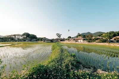 농식품바우처 잔액조회