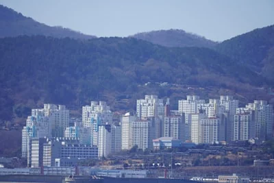 울진군 개별공시지가 관련 이미지