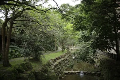 산림복지바우처 참고 자료