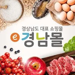 e경남몰 쇼핑몰 화면 2026년 6월 참고 자료