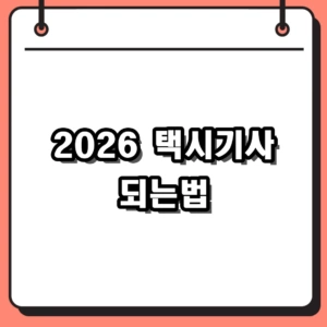 2026년 택시기사 되는법 총정리: 자격증부터 월급, 개인택시 조건까지
