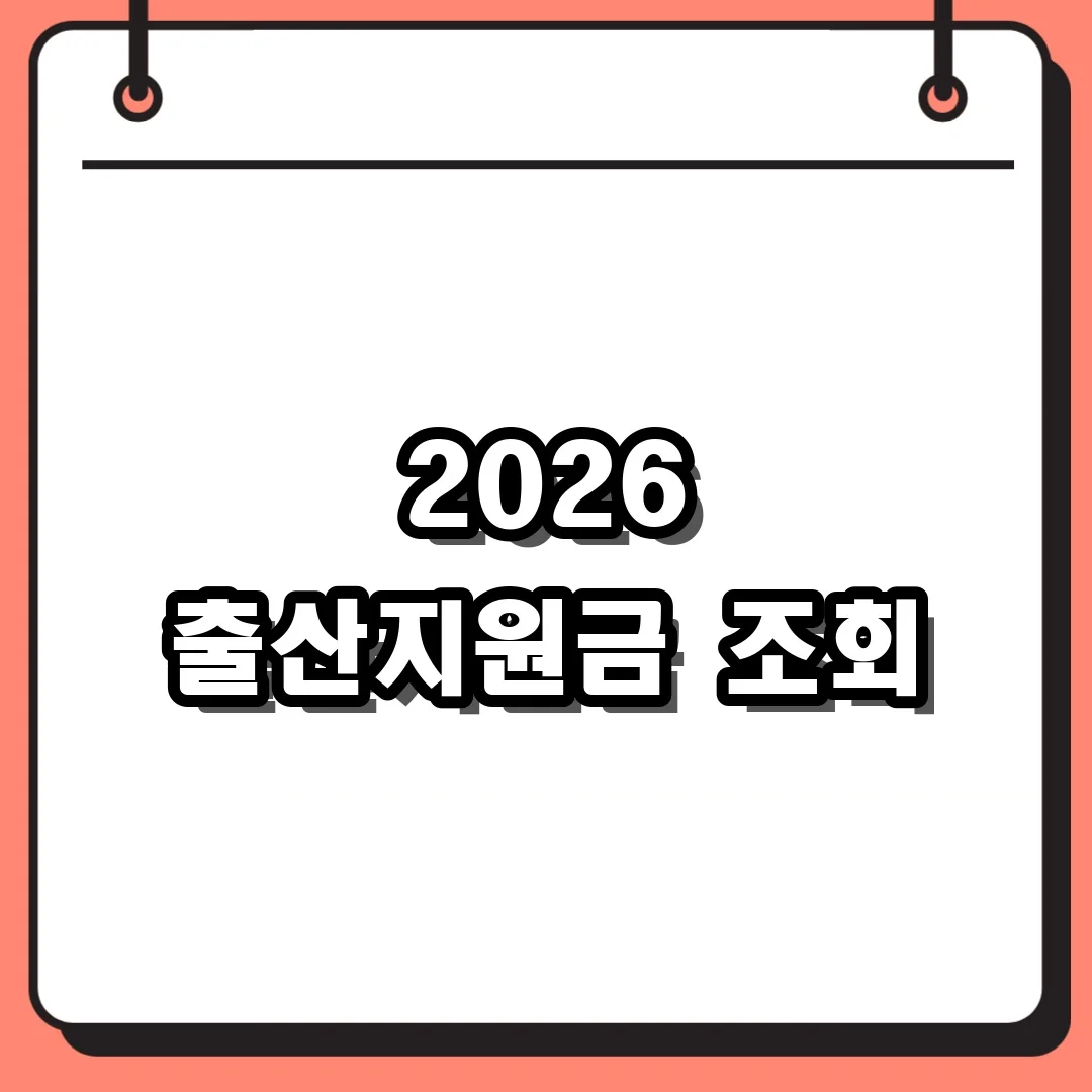 2026 출산지원금 조회