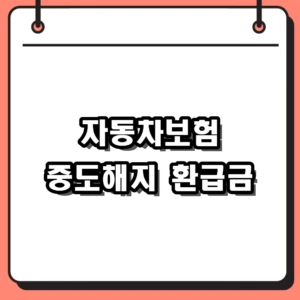 자동차보험 중도해지 방법 및 환급금 계산, 필수 확인 사항