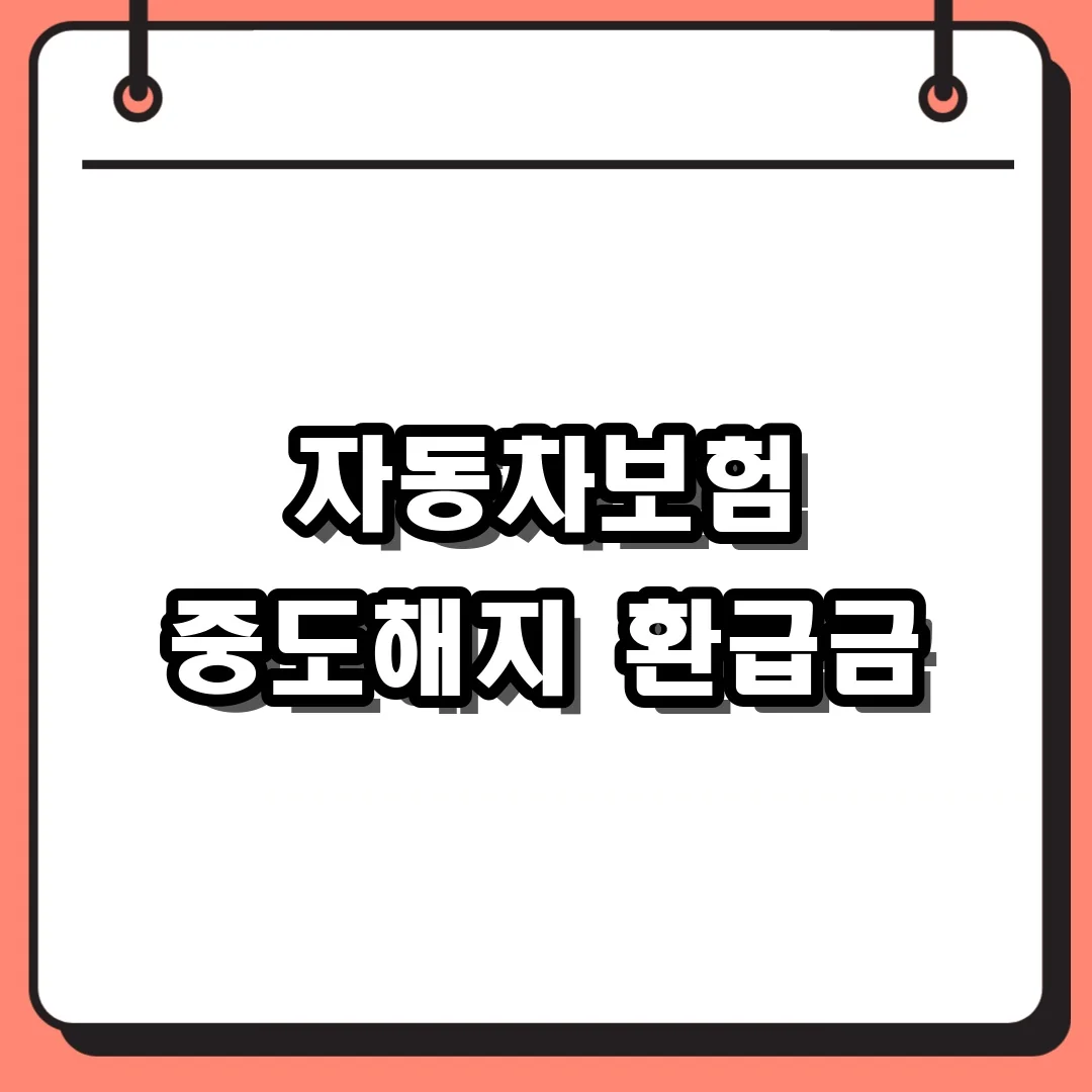 자동차보험 중도해지 환급금