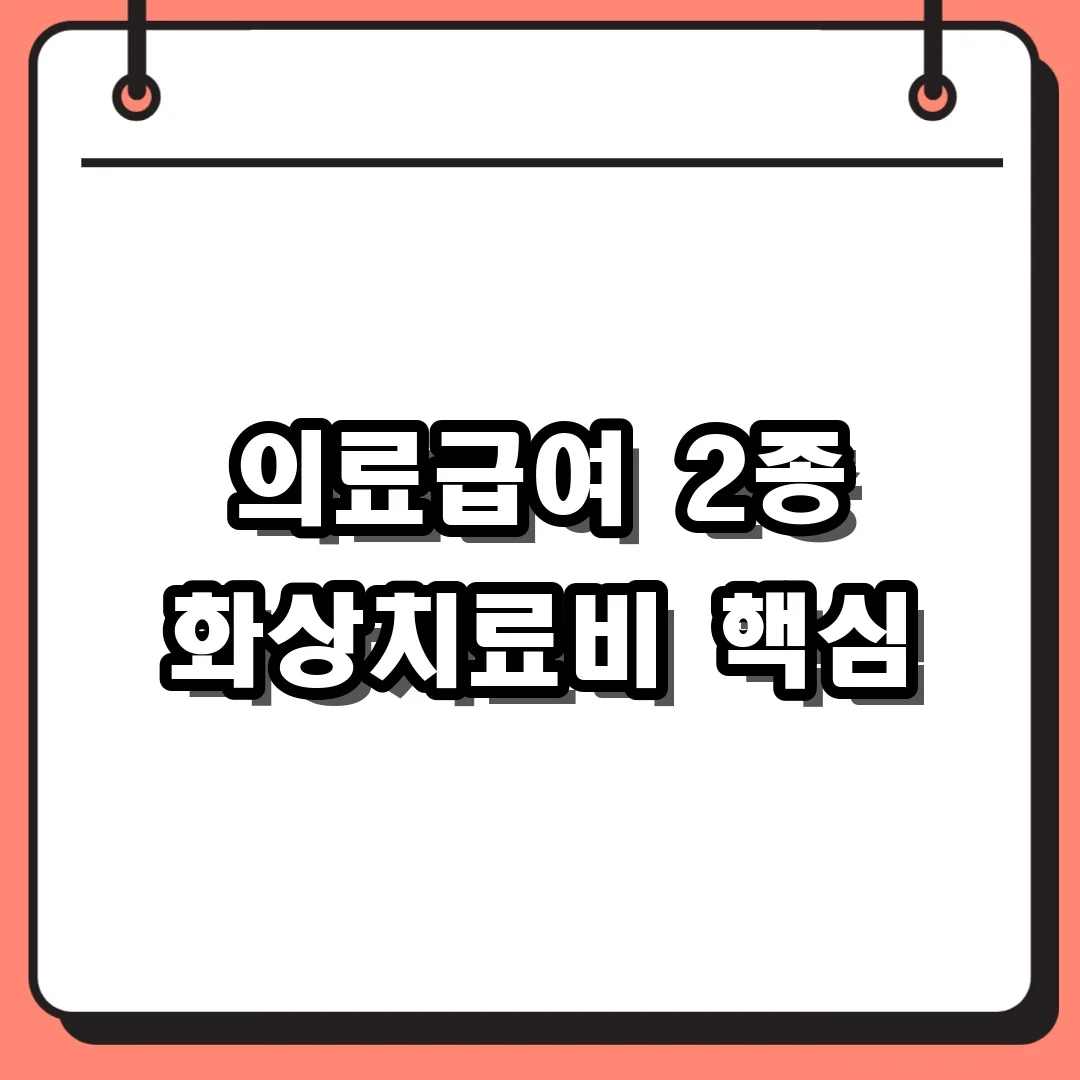 의료급여 2종 화상치료비 핵심