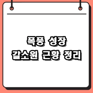 2026년 배우 갈소원 근황과 나이 총정리, 폭풍 성장한 예승이
