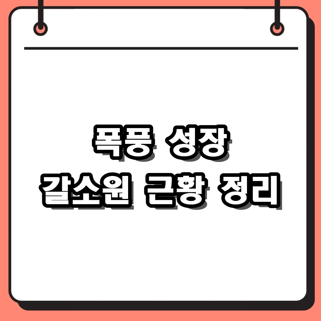 폭풍 성장 갈소원 근황 정리