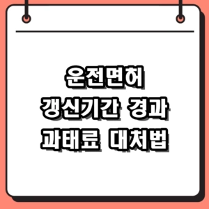 운전면허 갱신기간 경과 시 과태료 및 적성검사 조회 대처법