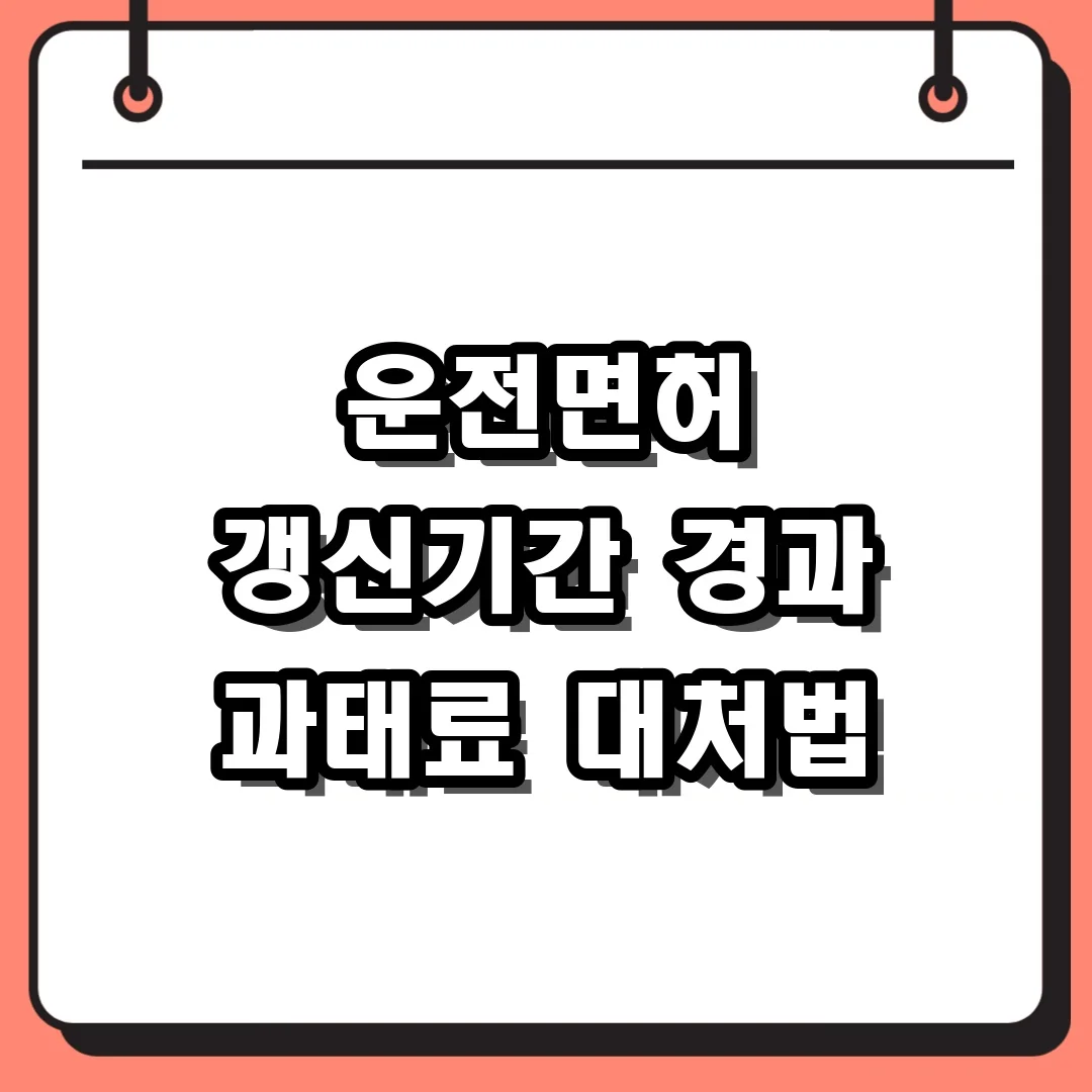 운전면허 갱신기간 경과 과태료 대처법