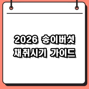2026 자연산 송이버섯 채취시기 및 효능, 신선 보관법 완벽 가이드