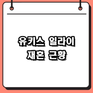 유키스 일라이 재혼 발표 근황과 이혼 5년 만의 새출발