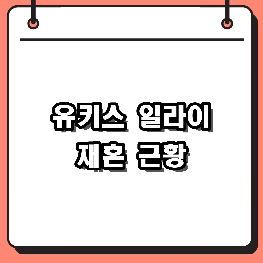 유키스 일라이 재혼 근황