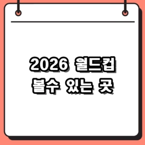 2026 월드컵 볼수 있는 곳 생중계 사이트와 현장 응원 장소 총정리