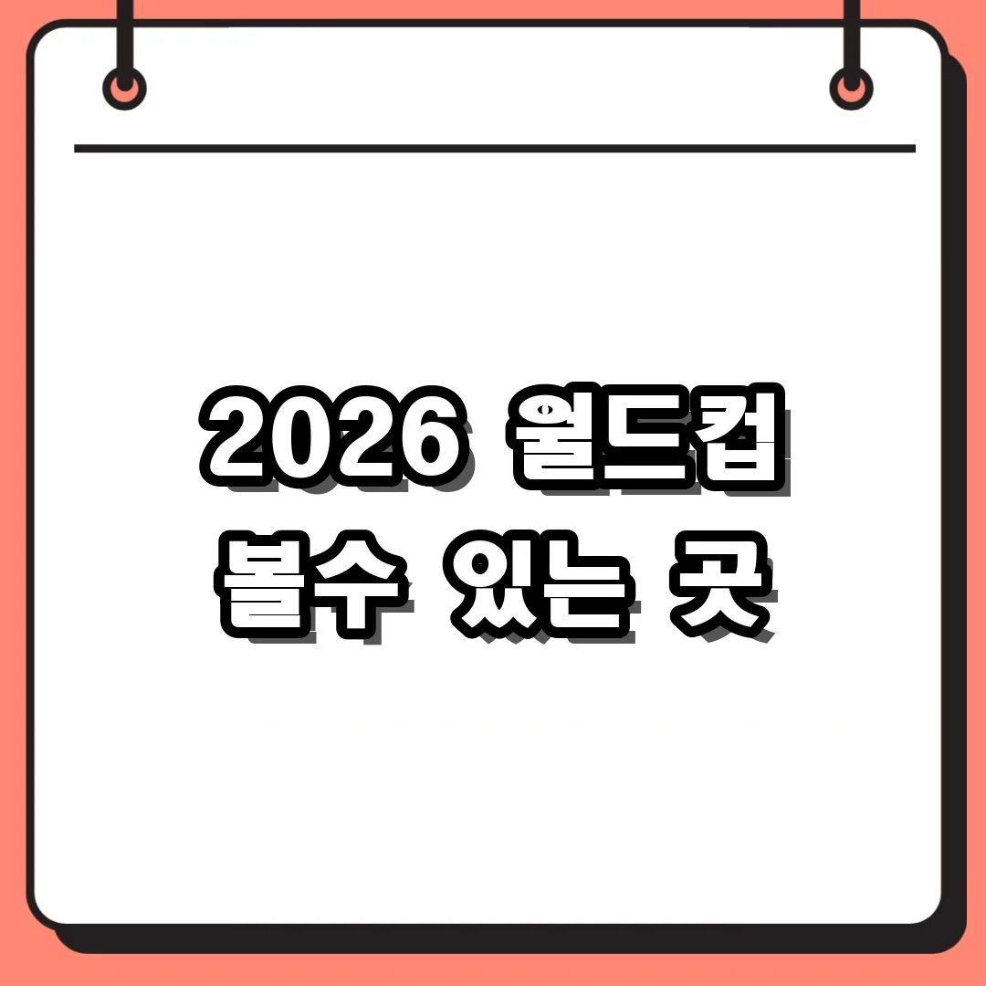 2026 월드컵 볼수 있는 곳
