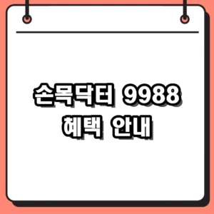 2026 서울시 손목닥터 9988 신청 방법과 포인트 활용처