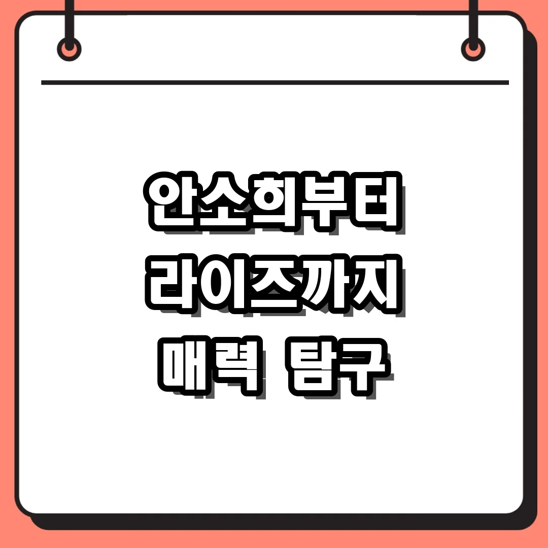 안소희부터 라이즈까지 매력 탐구
