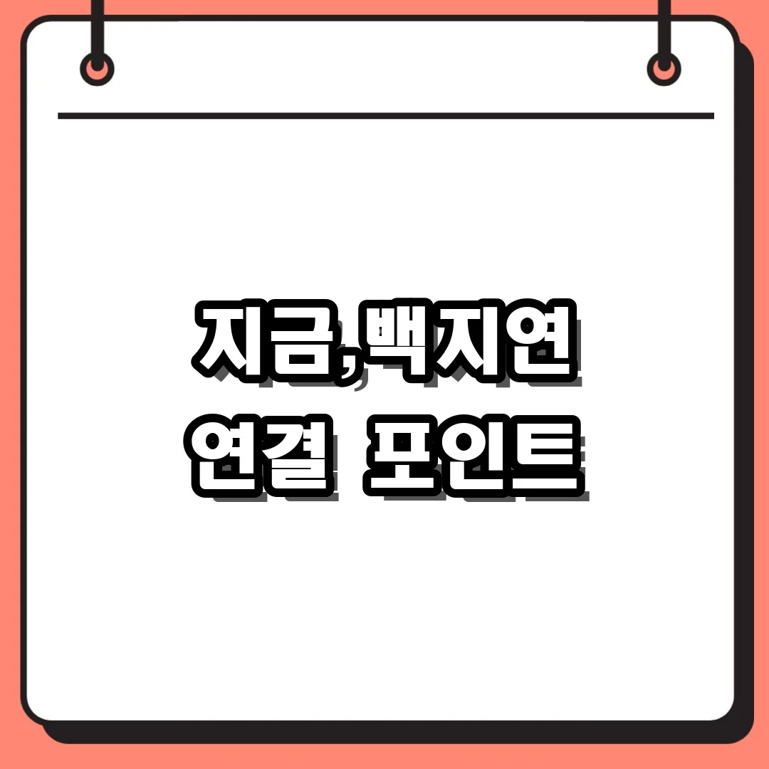 지금,백지연 연결 포인트