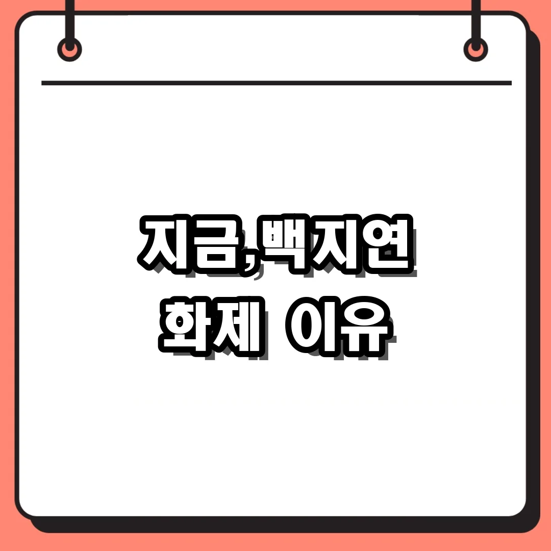 지금,백지연 화제 이유
