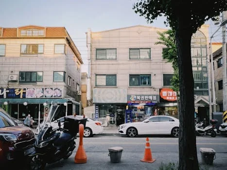 대전사랑카드 캐시백 참고 자료