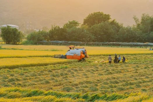농식품바우처 신청 자격 참고 자료