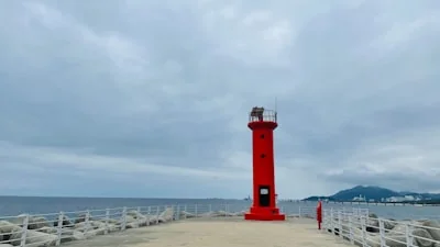 강원도 사전투표소 위치
