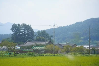 곡성군청 홈페이지 바로가기 민원실 안내